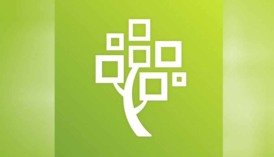 FamilySearch futebol